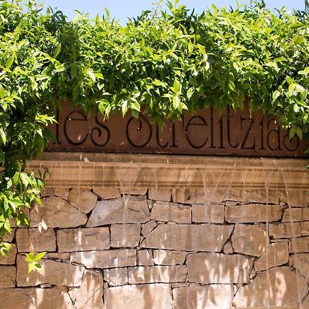 The Originals Résidence, Les Strélitzias Juan-les-Pins Exterior foto